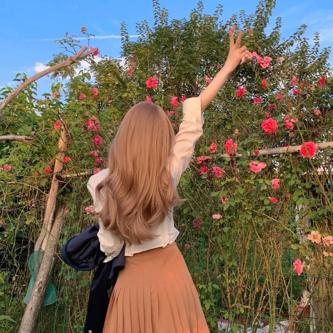 布迪·克拉维茨的学徒生涯